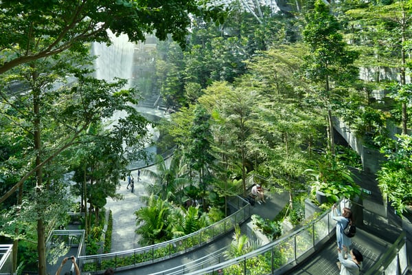 Moshe Safdie Designs Singapore's Jewel Changi Airport As a Destination  Garden