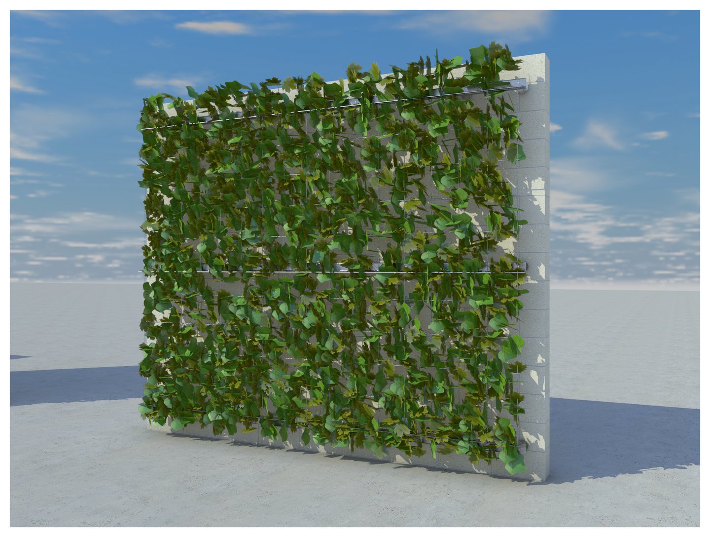 Green Wall-1